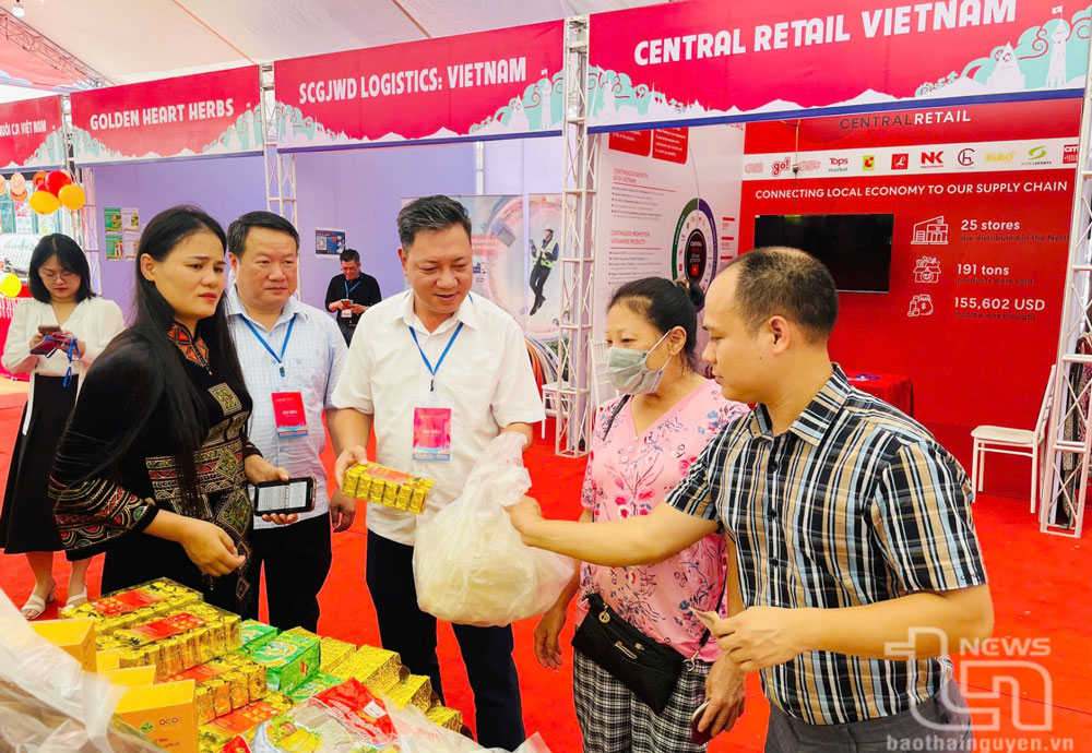 Nỗ lực đưa chè trở thành cây “tỷ đô”