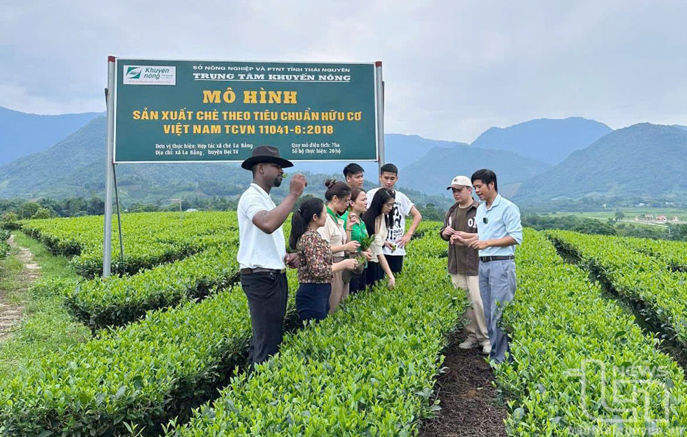 Nông nghiệp xanh và du lịch cộng đồng “cùng đi”