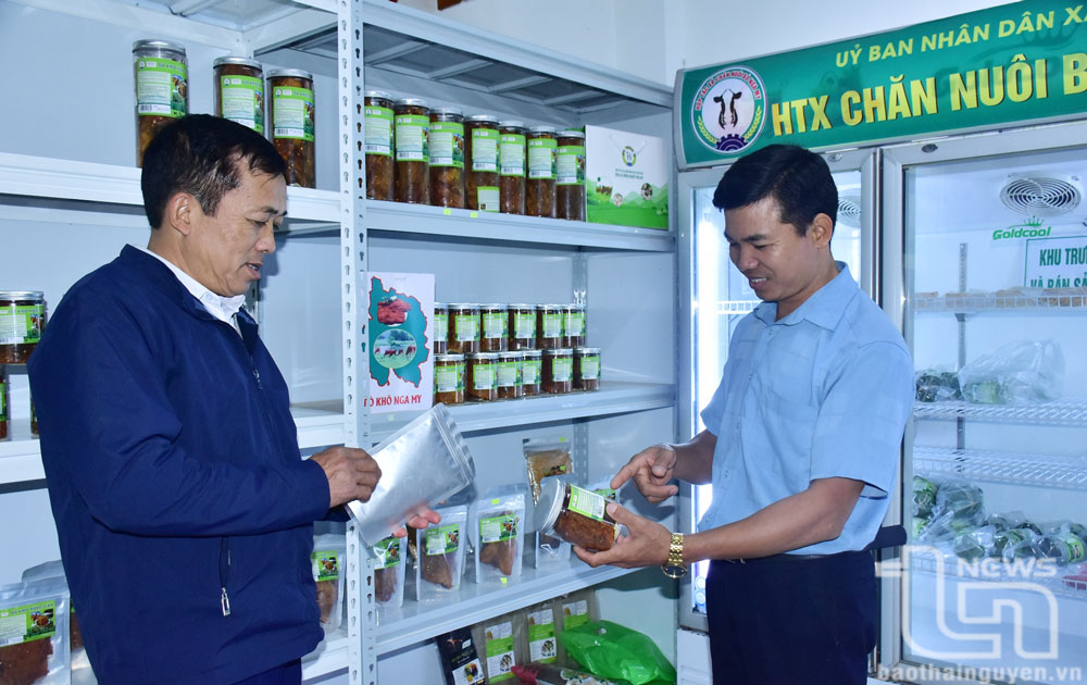 Bước chuyển trong sản xuất nông nghiệp ở Nga My