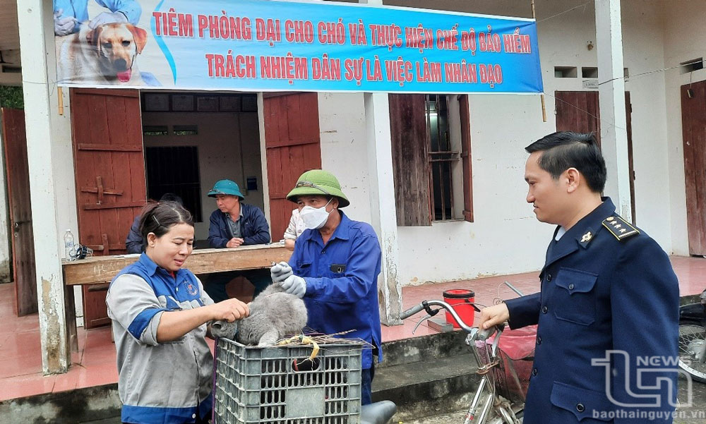 Chủ động phòng, chống dịch bệnh mùa nồm ẩm
