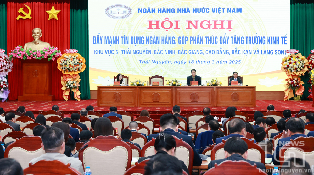 Ra mắt Ngân hàng Nhà nước Khu vực 5: Tăng cường kết nối dòng vốn