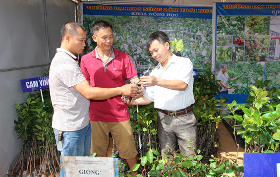 Đưa hàng Việt về nông thôn, miền núi