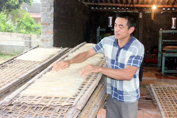 Thành lập mới 12 hợp tác xã và 62 tổ hợp tác