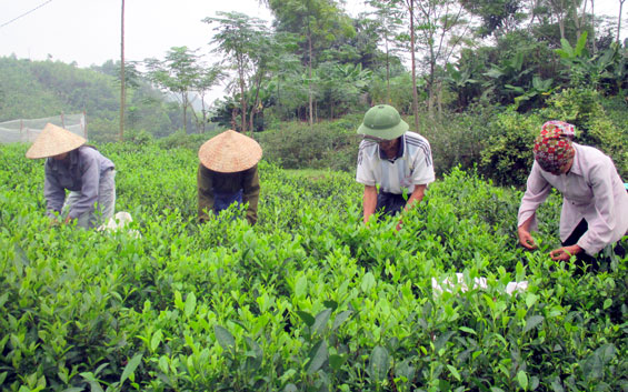 Đề nghị công nhận mới 34 làng nghề và làng nghề truyền thống
