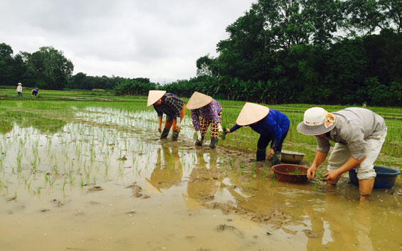 Để vụ mùa giành thắng lợi