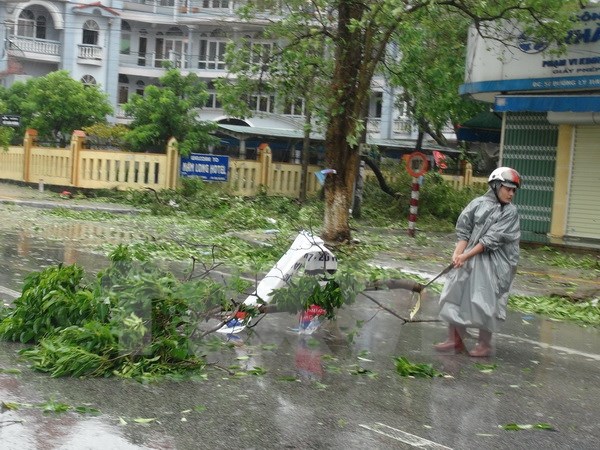 Quảng Bình huy động các nguồn lực khôi phục trường lớp sau bão số 10