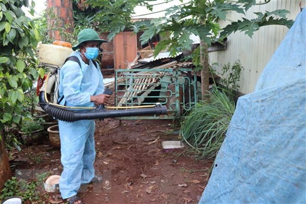 Bộ Y tế lập 8 đoàn kiểm tra giám sát phòng chống bệnh sốt xuất huyết