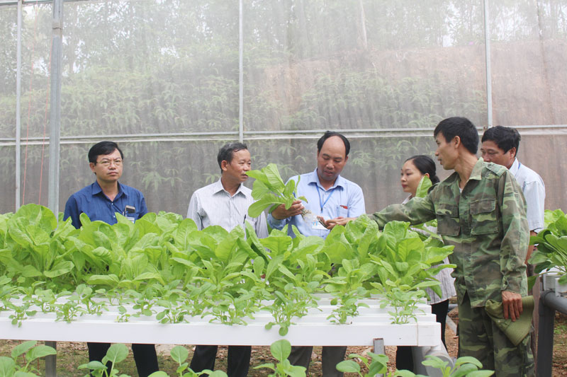 Thúc đẩy sản xuất nông nghiệp phát triển 