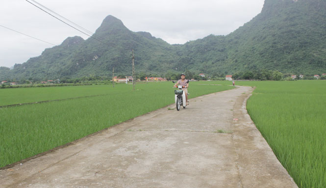 Dân Tiến - Xã nông thôn mới đang dần hiện hữu 