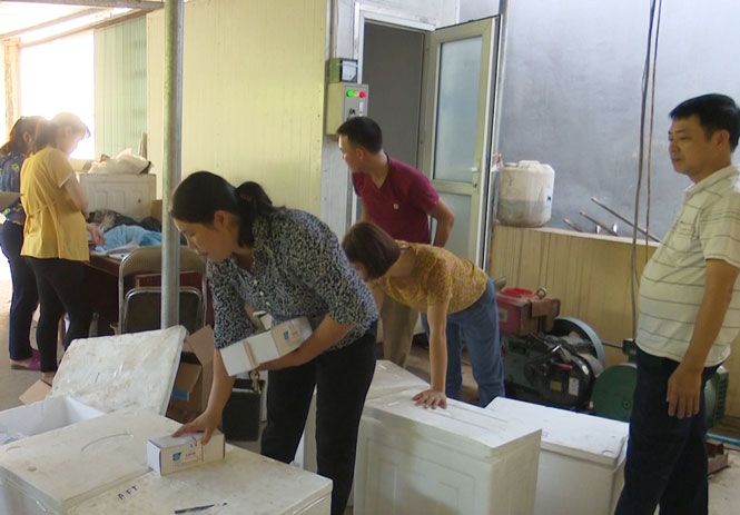 Cấp 634 nghìn liều vắc xin phòng bệnh cho đàn vật nuôi 