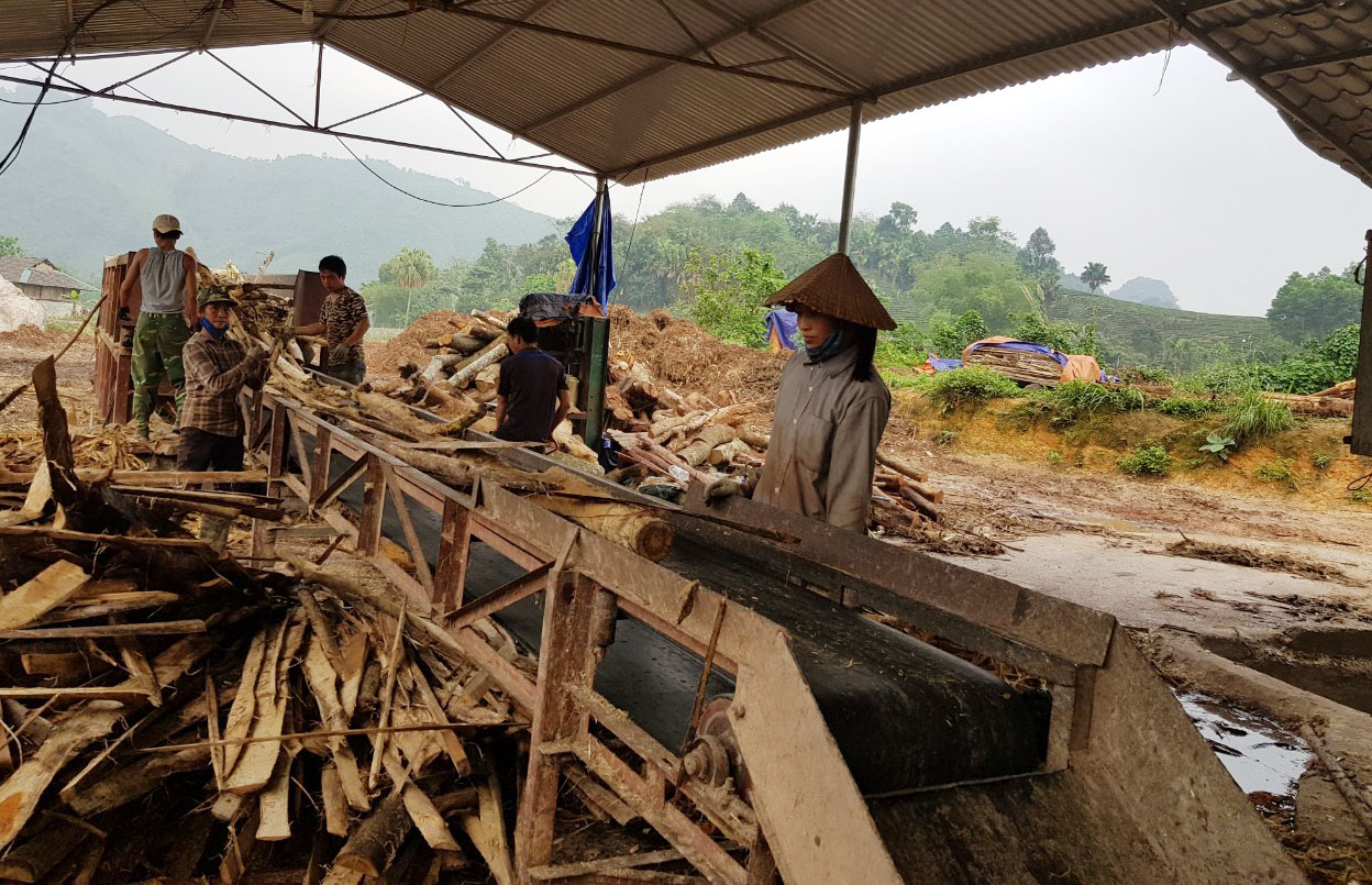 Giúp người dân giàu lên nhờ rừng 