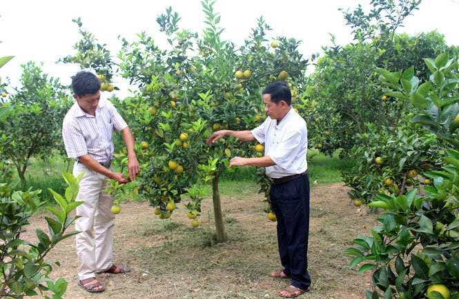 Diện mạo mới ở xã miền núi khó khăn 