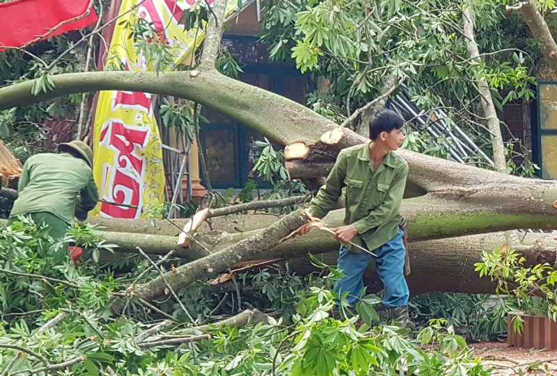 Mưa lớn và gió lốc gây thiệt hại trên 374 triệu đồng