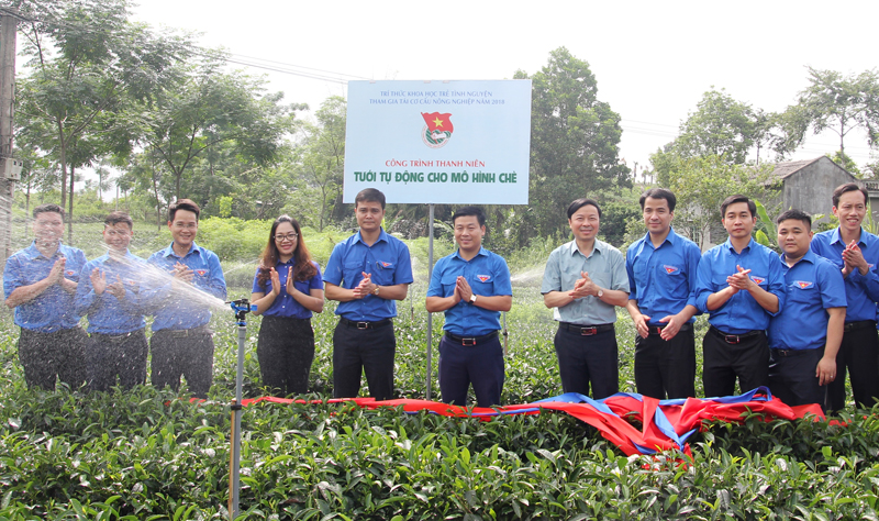 Phát huy vai trò xung kích của thanh niên