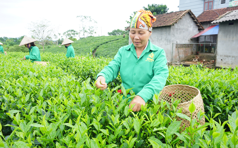 Toàn tỉnh có 91 xã hoàn thành xây dựng nông thôn mới