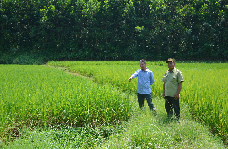 Cán bộ, đảng viên nêu gương