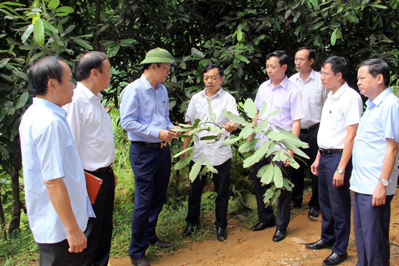 Lãnh đạo UBND tỉnh làm việc tại Định Hóa