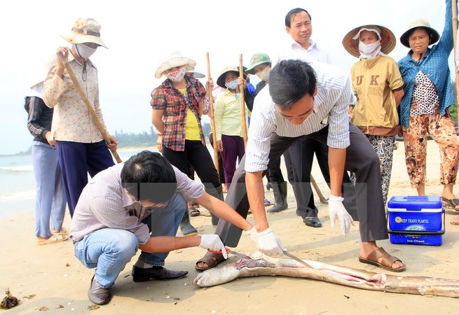 Vụ cá chết hàng loạt ở Việt Nam xuất hiện trên báo nước ngoài