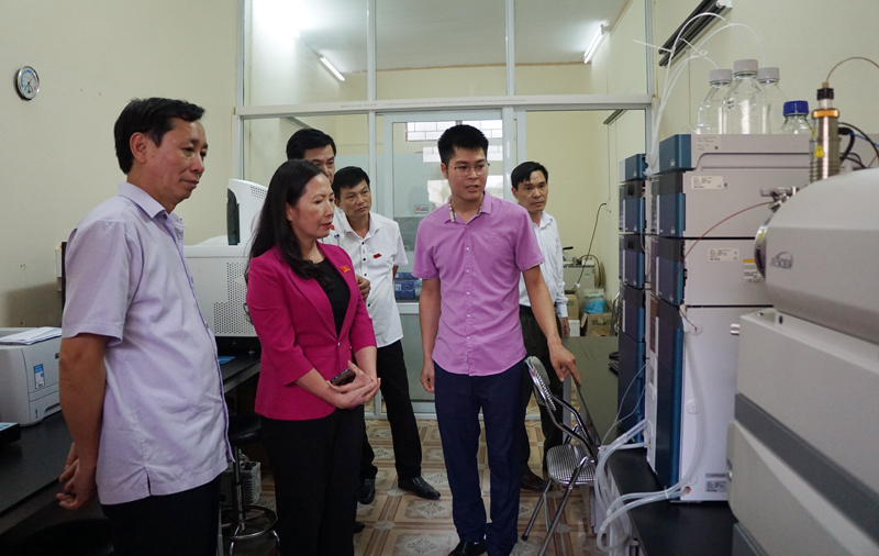 Đoàn công tác của HĐND tỉnh khảo sát tại các đơn vị