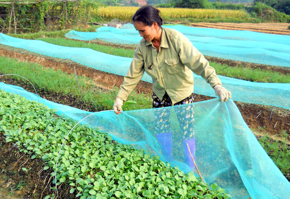 Làm gì để hoàn thành những tiêu chí khó trong xây dựng nông thôn mới