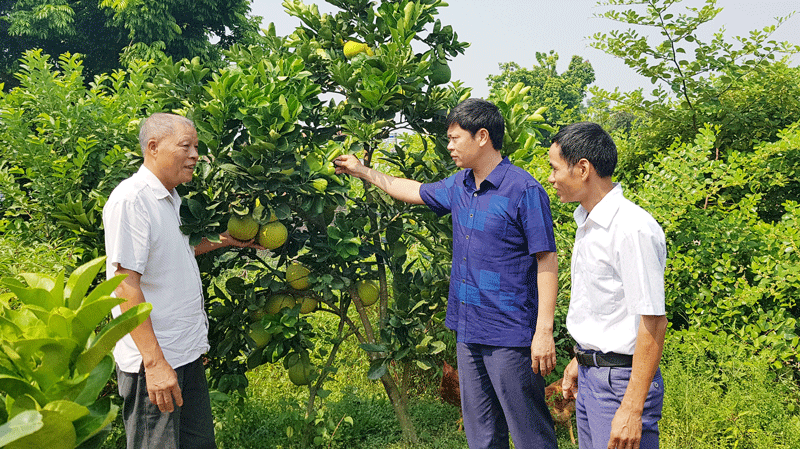 Tham mưu làm tốt công tác xây dựng Đảng