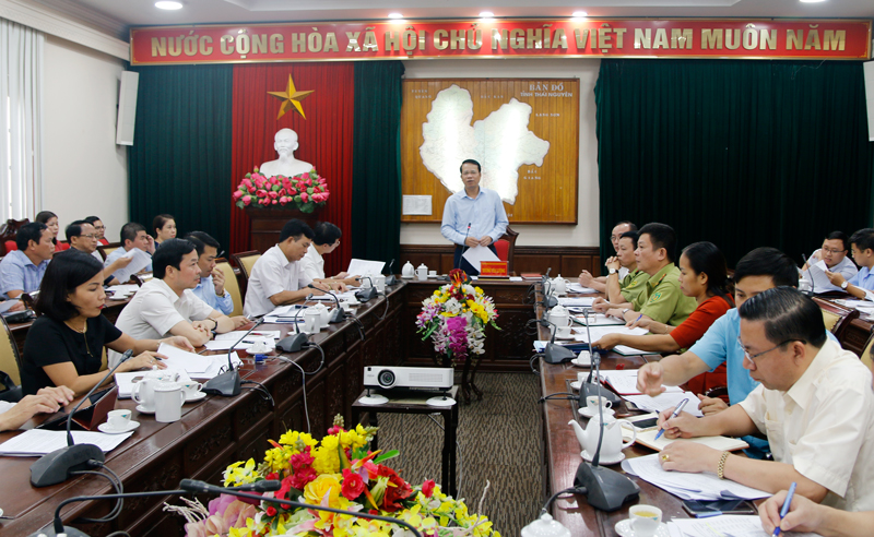 Đánh giá kết quả rà soát, điều chỉnh quy hoạch 3 loại rừng