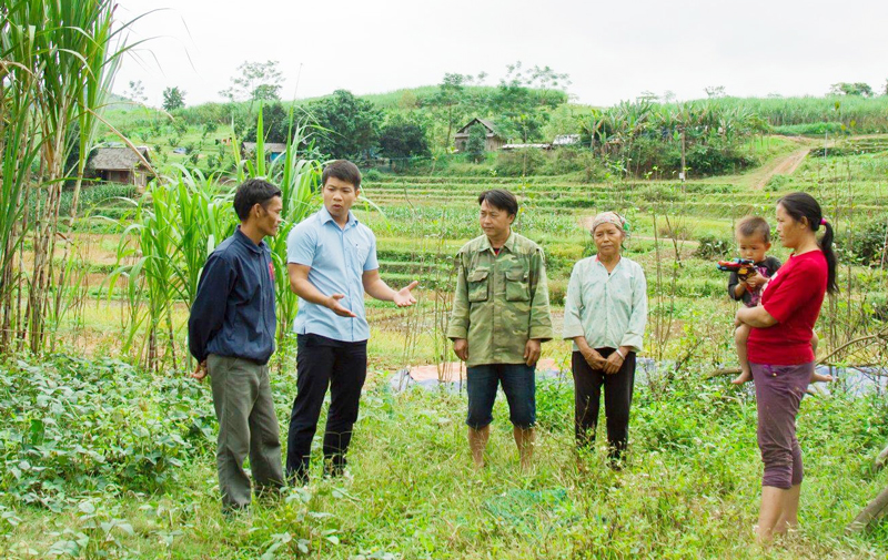 Những Bí thư Chi bộ 8X ở vùng đất khó: Kỳ 2: Chứng minh năng lực bằng việc làm cụ thể