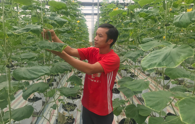 Đảng bộ xã Phú Lạc: Nâng cao chất lượng tổ chức cơ sở đảng