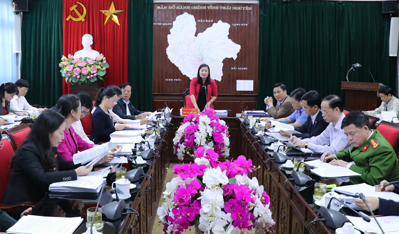 Thẩm tra các nội dung thuộc lĩnh vực pháp chế