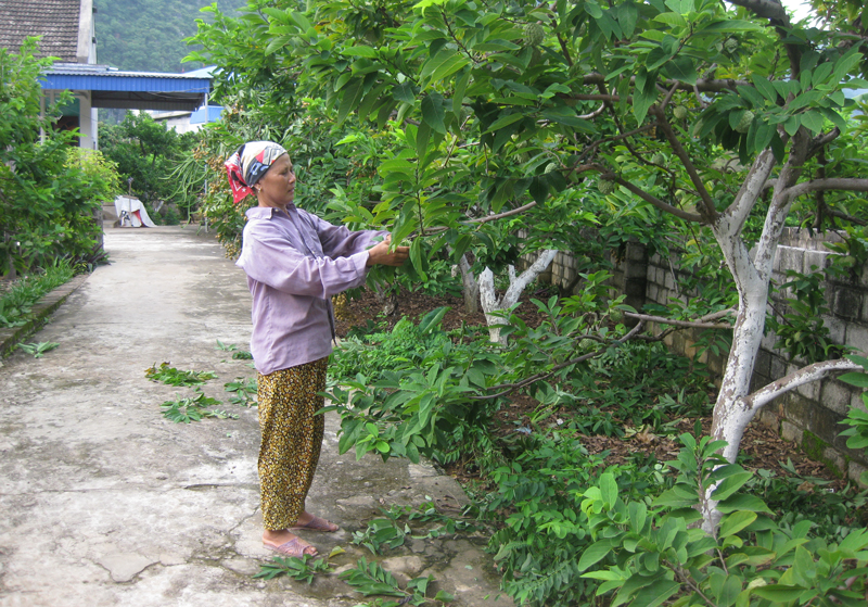 Người cao tuổi tích cực làm kinh tế