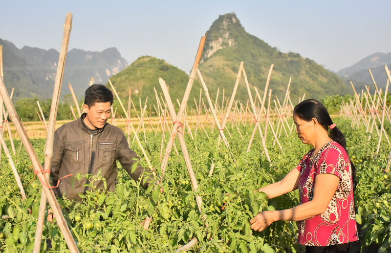Cao Lầm xây dựng nông thôn mới kiểu mẫu