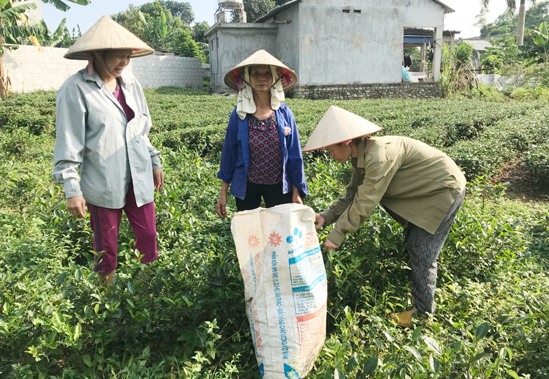 Chung tay giúp đỡ người nghèo