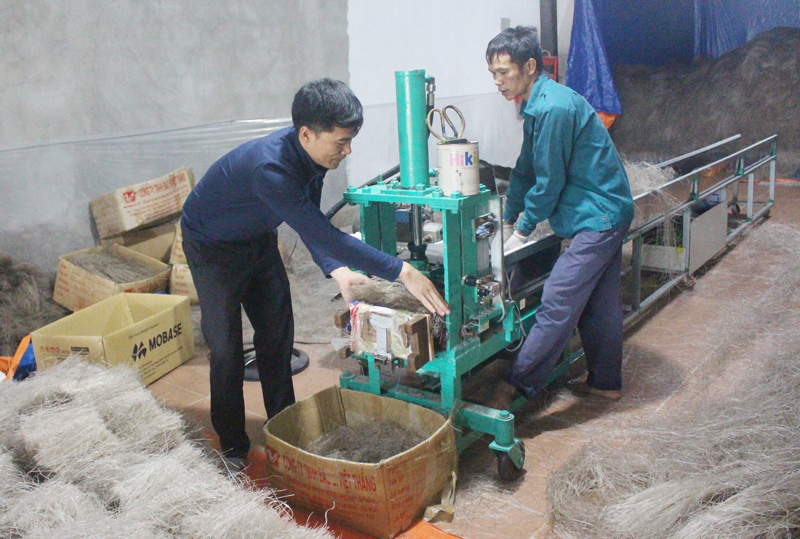 Đa dạng mặt hàng miến phục vụ thị trường