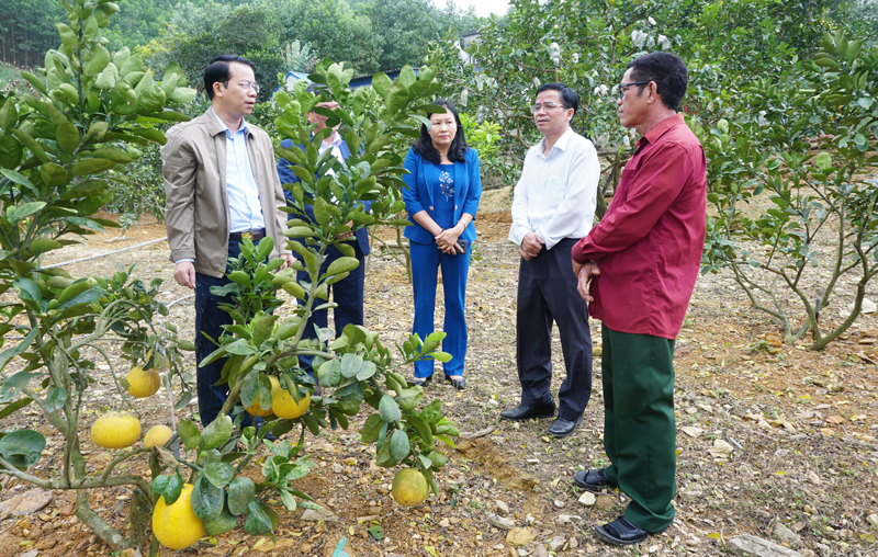 Tận dụng tối đa lợi thế trong phát triển kinh tế