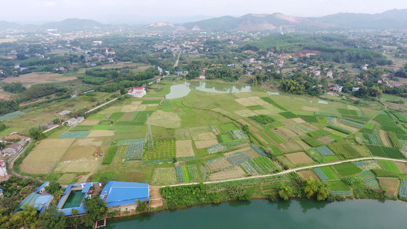 Ước vọng từ cánh đồng làng