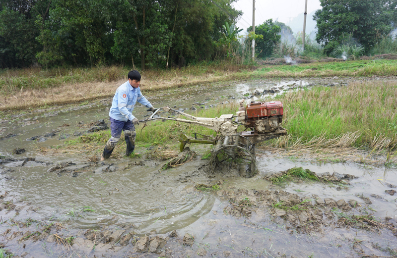 Sẵn sàng sản xuất vụ xuân