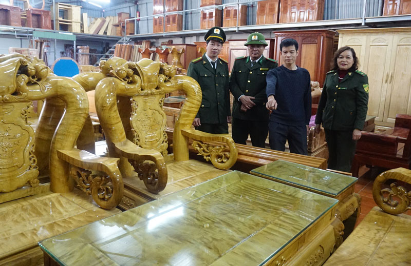 Để ngành chế biến gỗ phát triển