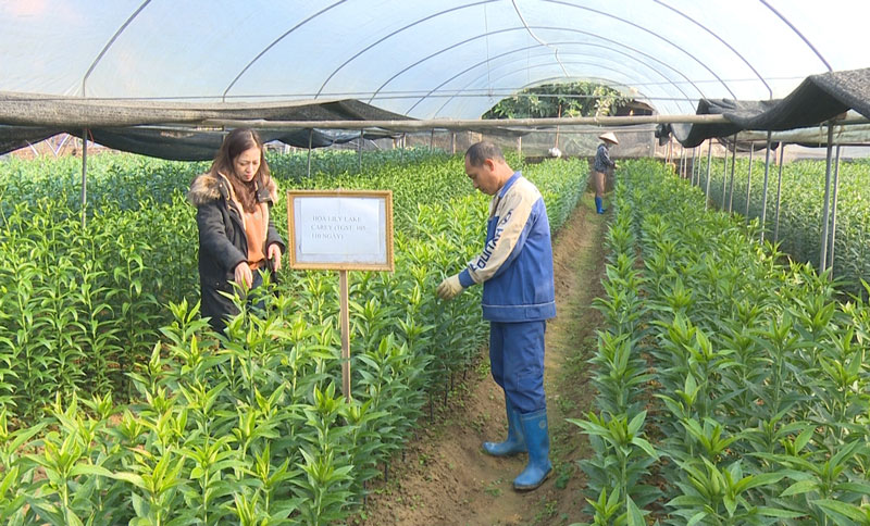 Góp phần thúc đẩy nông nghiệp phát triển