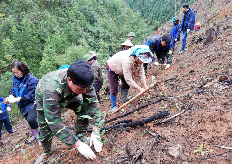 Khẩn trương trồng rừng vụ xuân