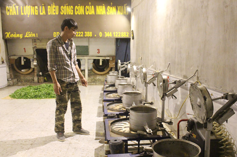 Đưa máy móc vào sản xuất, chế biến chè