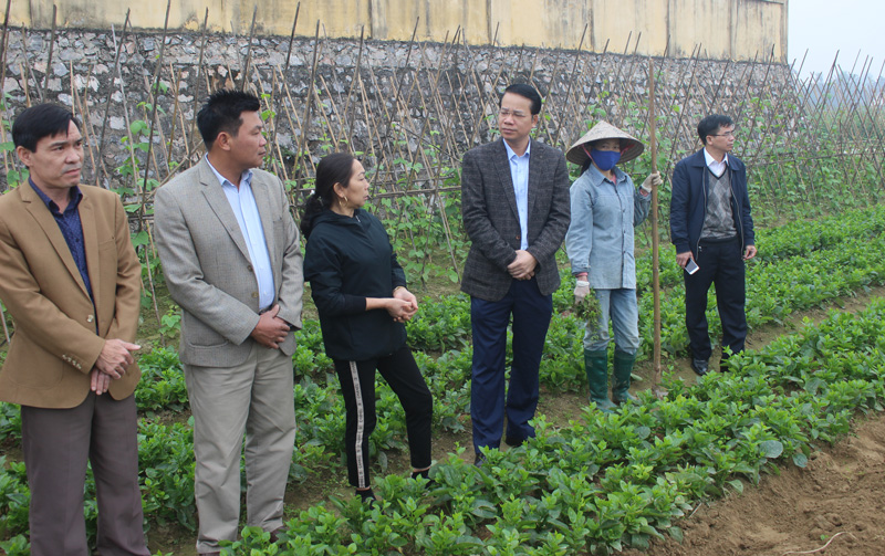 Kiểm tra các mô hình sản xuất nông nghiệp