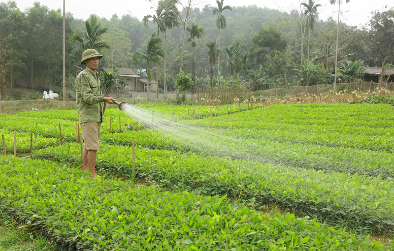 Dân vận khéo ở Phú Lương: Mô hình nhỏ, sức lan tỏa lớn