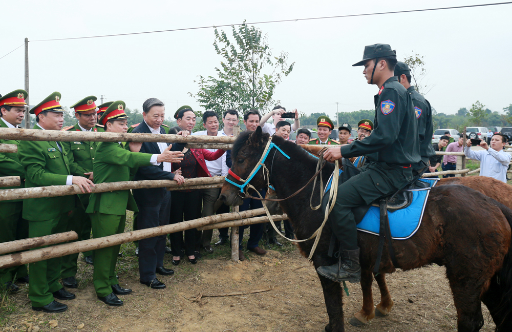 Chăm sóc, huấn luyện tốt các cá thể ngựa phục vụ lực lượng Kỵ binh