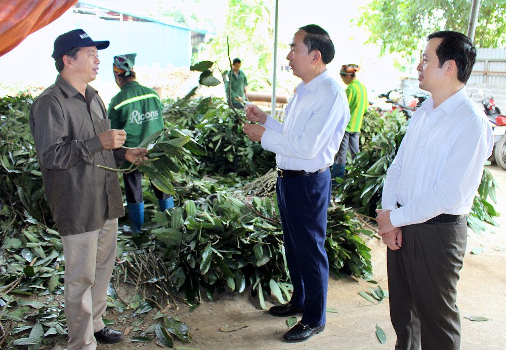 Kiểm tra công tác chuẩn bị đại hội Đảng tại Định Hóa