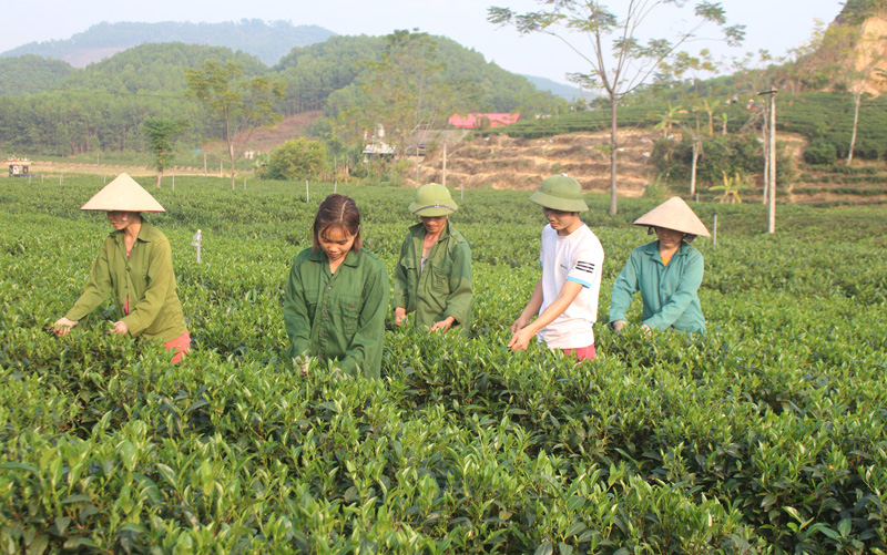 Đề ra giải pháp phát triển sản xuất nông nghiệp