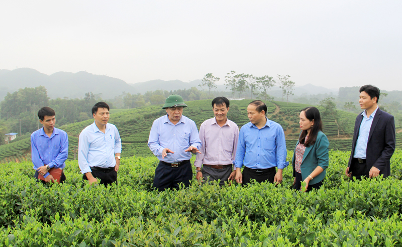 Công tác chuẩn bị nhân sự đảm bảo dân chủ, khách quan