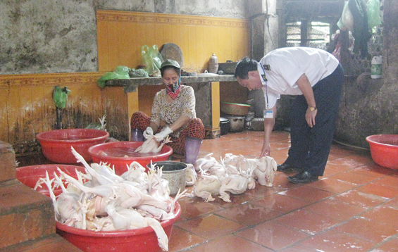 Thành công từ một quyết sách đúng đắn