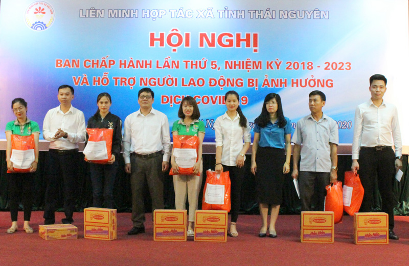 Toàn tỉnh thành lập mới 34 HTX