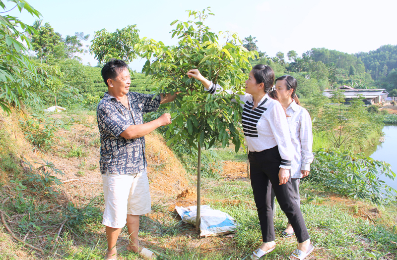 Từ chiếc máy cày năm xưa Bác tặng