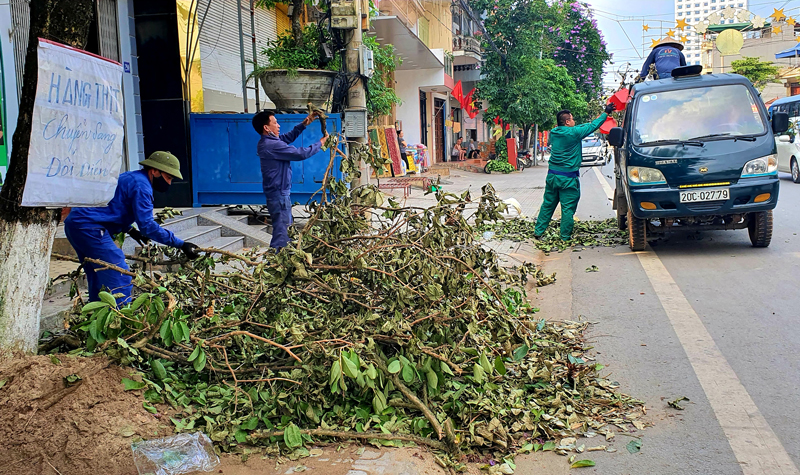 Chặt hạ, tỉa cành cây xanh đô thị: Tiếc nhưng vẫn phải làm